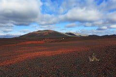 Icelandic inland