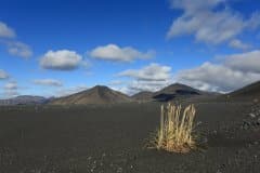 Icelandic inland