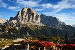 Tofana di Rozes
