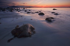 Plaz_ve_Flo_II
