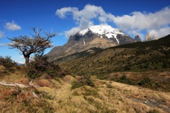 Torres del Paine 2