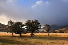 Torres del Paine 4