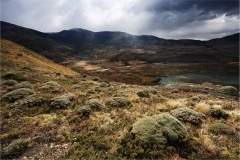 Torres del Paine 5