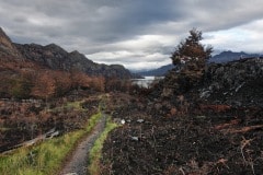 Torres del Paine 8