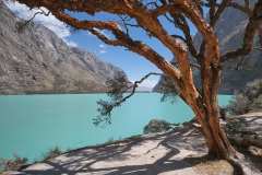 Laguna Llanganuco