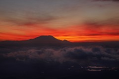 Kilimanjaro