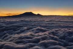 Kilimanjaro