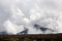 Kilimanjaro