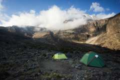 Kilimanjaro