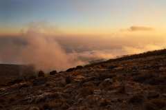 Kilimanjaro